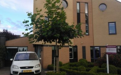 Boezem 59, Tiel