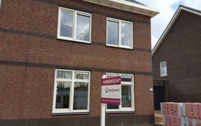 Zwanenbloem, Driel