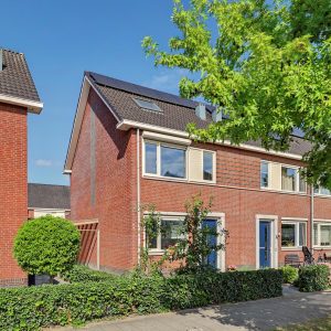 Aardbeivlinder 78, Tiel